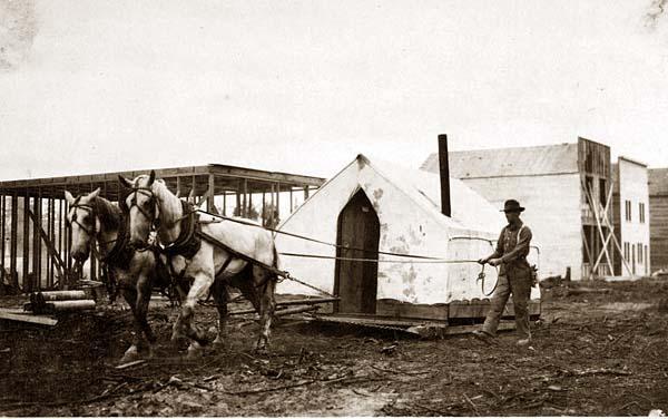 Horses pulling a tent