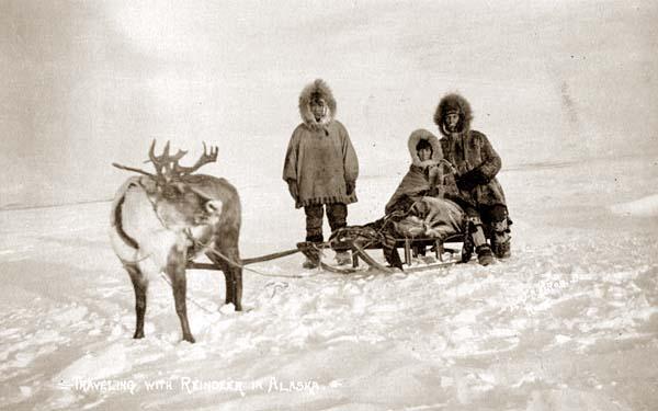 Traveling with reindeer