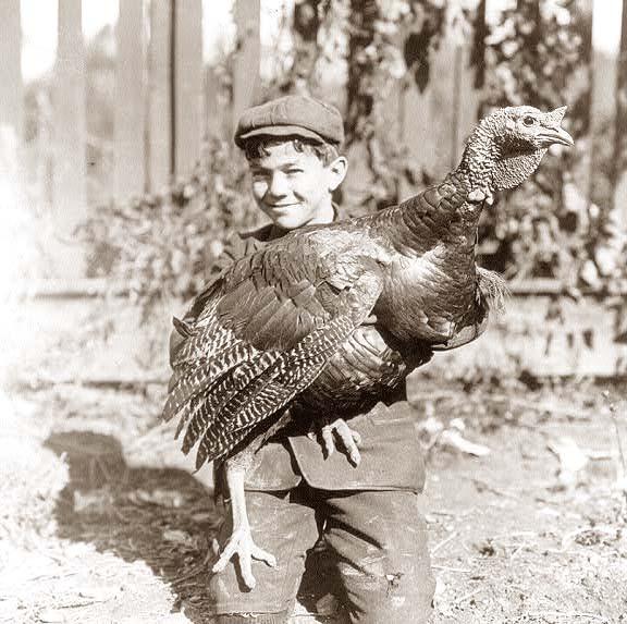 Boy holding large turkey