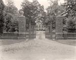 Underwood Estate, Woodland.