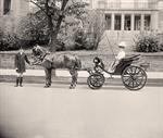 Woman in Carriage