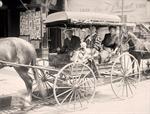 Women in Carriage