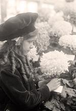 Girl With Chrysanthemum