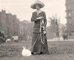 Pet Rabbit
