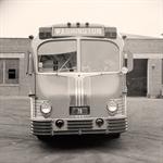 Greyhound Bus