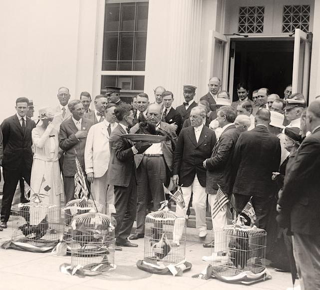 Roosters at White House