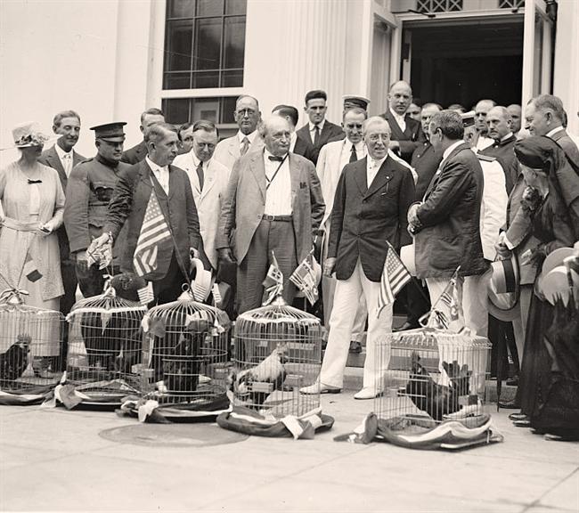 Woodrow Wilson with Roosters