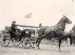 Horse and Carriage