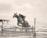 Soldier on Jumping Horse