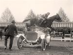 Horse Jumping Over Car