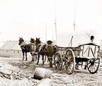 Mule Army Wagon