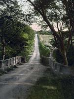 Country Road