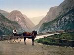 Norwegian carriage, Hardanger Fjord, Norway