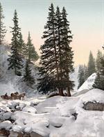 Davos, in winter, Grisons, Switzerland