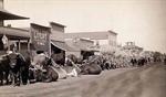 Line of Oxen in Sturgis, Dakota Territory